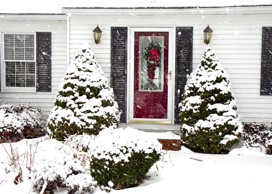 Storm Doors