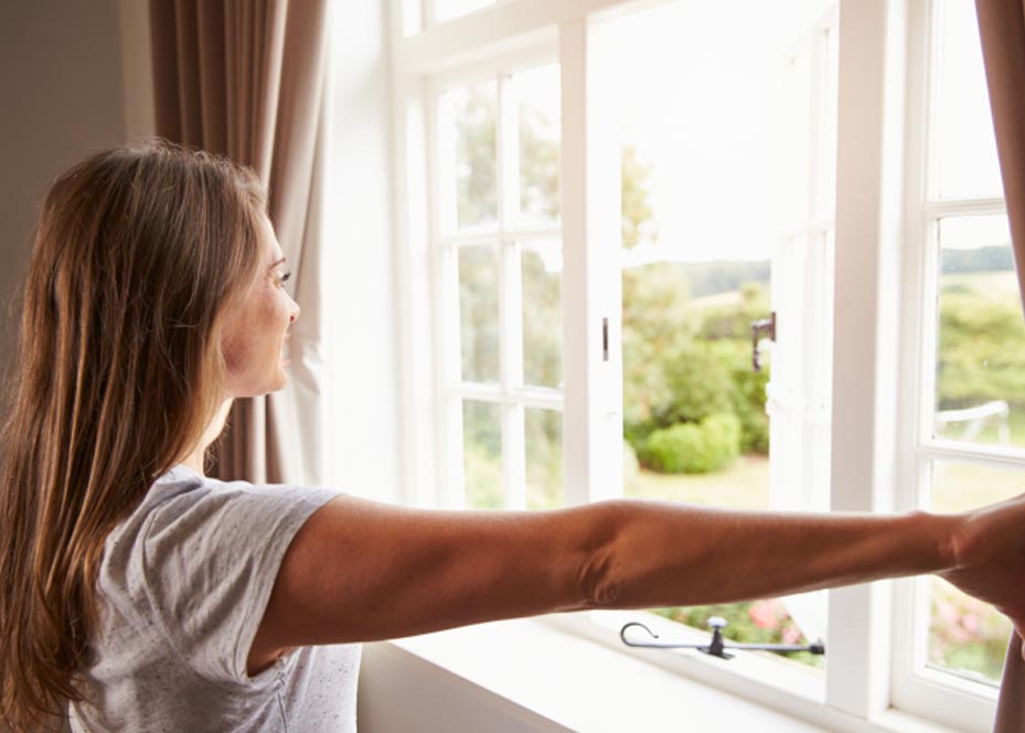 Window Styles